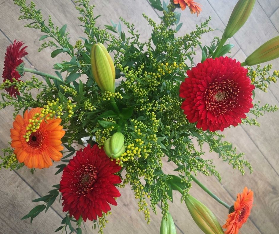 gerberas